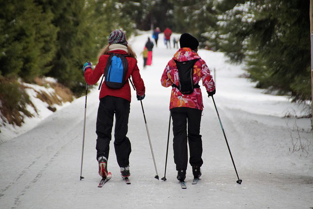 The Rise of Niche Sports Betting: Why Cross-Country Skiing is Next